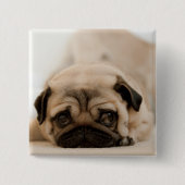 TAN-Frau-Mops Button (Vorderseite)
