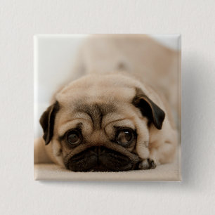 TAN-Frau-Mops Button