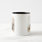 TAN-Frau-Mops Zweifarbige Tasse (Mittel)