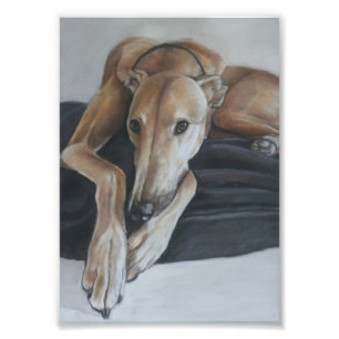 Tan Greyhound Dog Art Foto Print