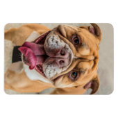 Tan Happy Dog Foto Magnet (Horizontal)