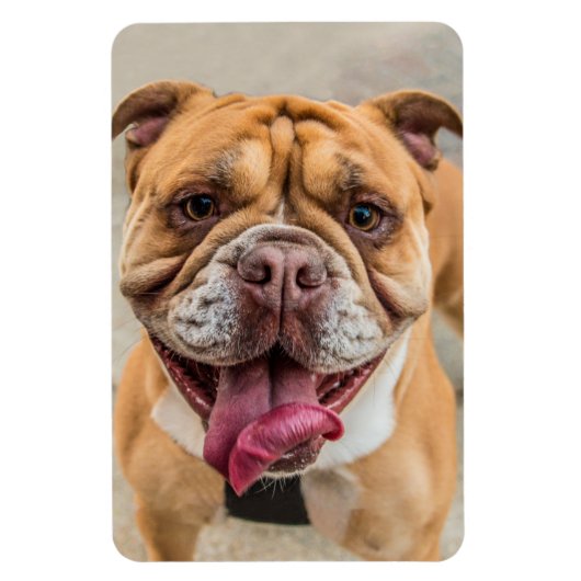 Tan Happy Dog Foto Magnet (Vertikal)