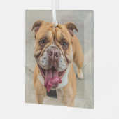 Tan Happy Dog Foto Ornament Aus Glas (Vorderseite links)