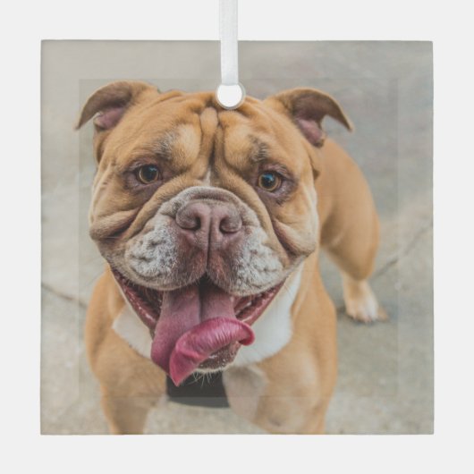 Tan Happy Dog Foto Ornament Aus Glas (Vorderseite)