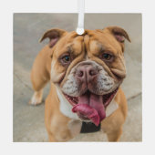 Tan Happy Dog Foto Ornament Aus Glas (Rückseite)