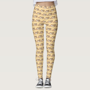 Tan Lyrical Modern Dance Shoe Shoe Dancer Legging Leggings