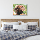 Tan Miniture Dackel Leinwanddruck (Insitu (Schlafzimmer))