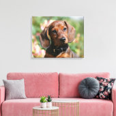 Tan Miniture Dackel Leinwanddruck (Insitu (Wohnzimmer))