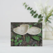 Tan Mushroom Postcard Postkarte (Stehend Vorderseite)
