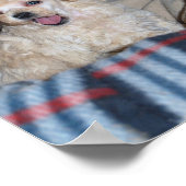 Tan Toy Poodle Puppy Poster (Ecke)