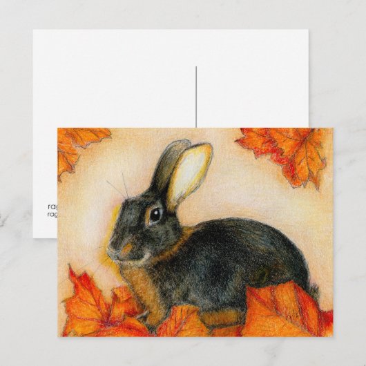 TAN UND SCHWARZ POSTKARTE (Vorne/Hinten)