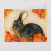 TAN UND SCHWARZ POSTKARTE (Vorderseite)