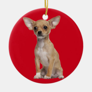TAN und weiße Chihuahua Keramikornament