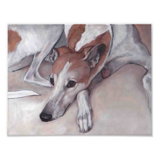 Tan und White Greyhound Dog Art Foto drucken (Vorne)