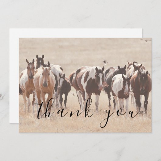 Tan White Brown Pferde Flat Danke Karte (Vorne/Hinten)