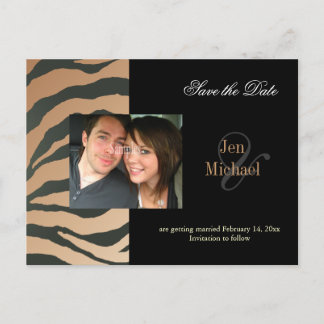 Tan zebra Save the Date Foto Postkarten, Ankündigungspostkarte