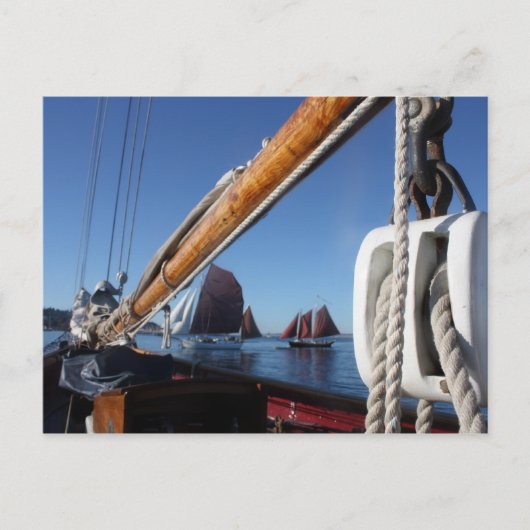 Tanbark Segel of a WA Postkarte (Vorderseite)