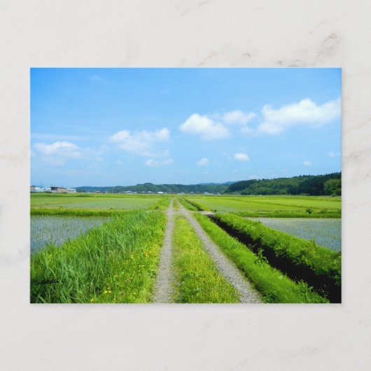 Tanbo Road Postkarte (Vorderseite)