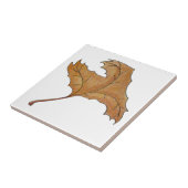 Tancing Maple Leaf Gold Fliese (Seite)