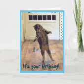 Tancing Tabby Cat Geburtstag Karte (Vorderseite)