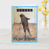 Tancing Tabby Cat Geburtstag Karte (Gelbe Blume)