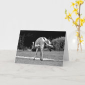 Tancing Zebra Geburtstagskarte Karte (Gelbe Blume)
