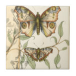 Tandem schlägt über grüne Blätter Fliese<br><div class="desc">Wie die Blauen Engel fliegen diese Schmetterlinge im Tandem. Sehen Sie,  wie sie über grüne Blätter aufsteigen und ihre bunten und majestätischen Flügel verbreiten. Wenn Sie Liebe schauen Schmetterlinge werden Sie dieses Stück Liebe!</div>