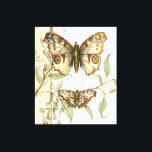 Tandem schlägt über grüne Blätter Leinwanddruck<br><div class="desc">Wie die Blauen Engel fliegen diese Schmetterlinge im Tandem. Sehen Sie,  wie sie über grüne Blätter aufsteigen und ihre bunten und majestätischen Flügel verbreiten. Wenn Sie Liebe schauen Schmetterlinge werden Sie dieses Stück Liebe!</div>