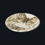 Tandem schlägt über grüne Blätter Pappteller<br><div class="desc">Wie die Blauen Engel fliegen diese Schmetterlinge im Tandem. Sehen Sie,  wie sie über grüne Blätter aufsteigen und ihre bunten und majestätischen Flügel verbreiten. Wenn Sie Liebe schauen Schmetterlinge werden Sie dieses Stück Liebe!</div>