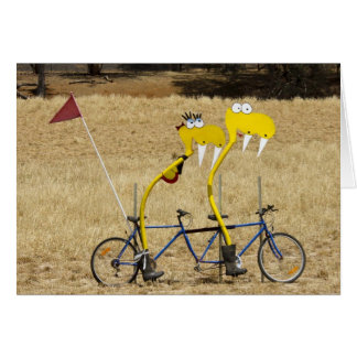 Tandem Schlangen