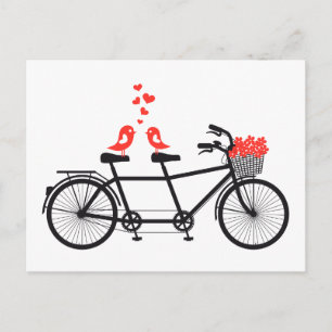 Tandemfahrer mit niedlichen Liebesvögeln Postkarte