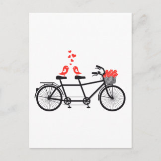 Tandemfahrer mit niedlichen Liebesvögeln Postkarte