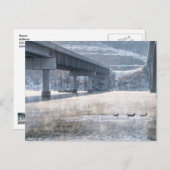 Taneycomo Foggy Winter Angeln Postkarte (Vorne/Hinten)