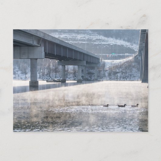 Taneycomo Foggy Winter Angeln Postkarte (Vorderseite)