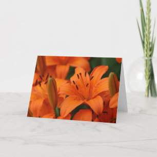 "Tangerine Beauty" Notizkarte Karte