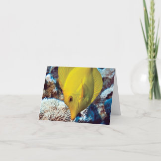 TangEssence Anmerkungs-Karte Karte