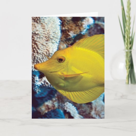 Tangessence Karte (Vorderseite)