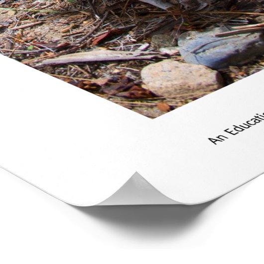 Tangle Prints Poster (Ecke)