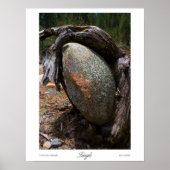 Tangle Prints Poster (Vorne)