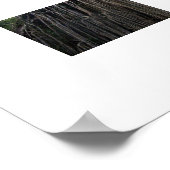 Tangled Tree Australia Color Fotografy Poster (Ecke)