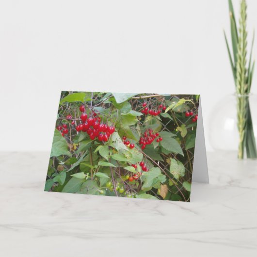 "Tangled Vine" erhält Well Card Karte (Vorderseite)