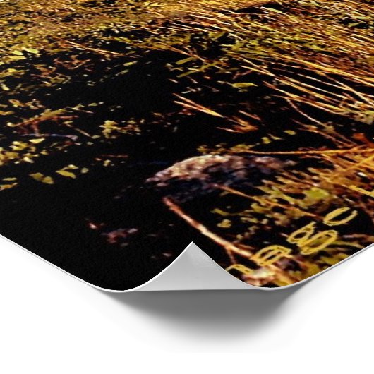 Tanglewood Bridge Poster (Ecke)