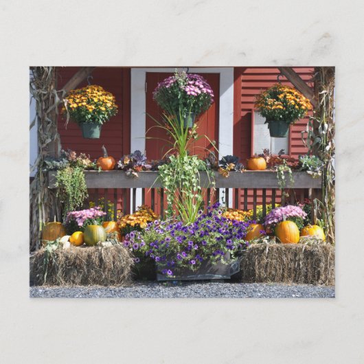 Tanglewood Fall Beauty - Postcard Postkarte (Vorderseite)