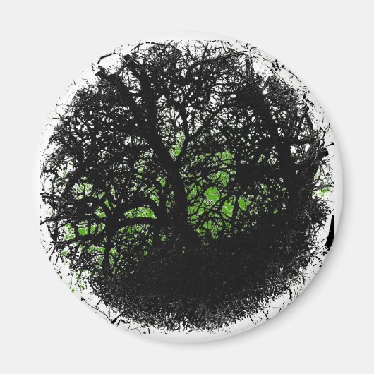 Tanglewood Magnet (Vorne)