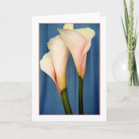 Tango Calla Lily Foto Grußkarte Karte (Vorderseite)