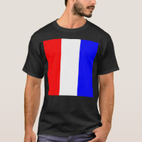 Tango Internationale maritime Signalflagge