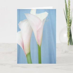 Tango White Calla Lily Foto Grußkarte Karte