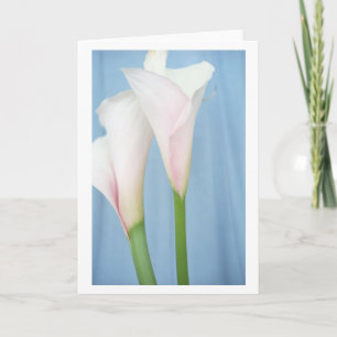 Tango White Calla Lily Foto Kunstgiesserei Karte