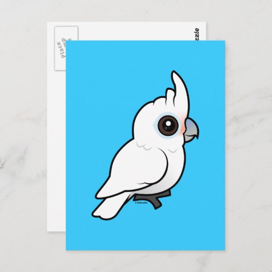 Tanimbar Corella Postkarte (Vorne/Hinten)