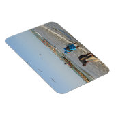 Tanji, Gambia Magnet (Rechte Seite)